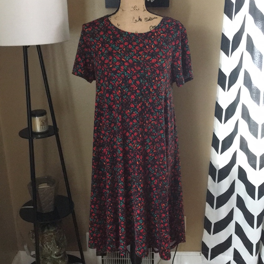 LuLaRoe Carly Dress Medium M NWOT